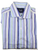 Drake's – Blue & Green Stripe Dress Shirt